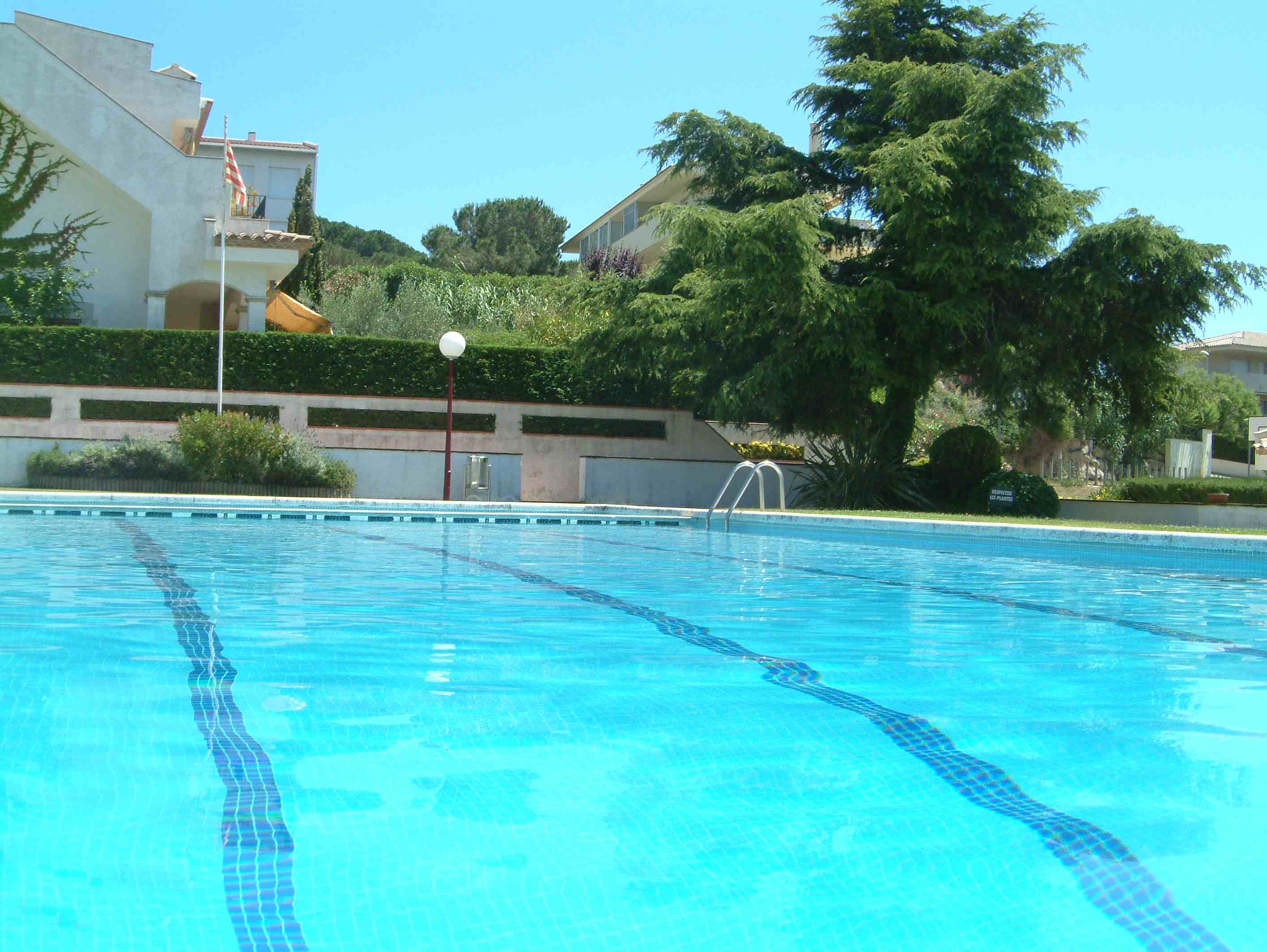 piscine2