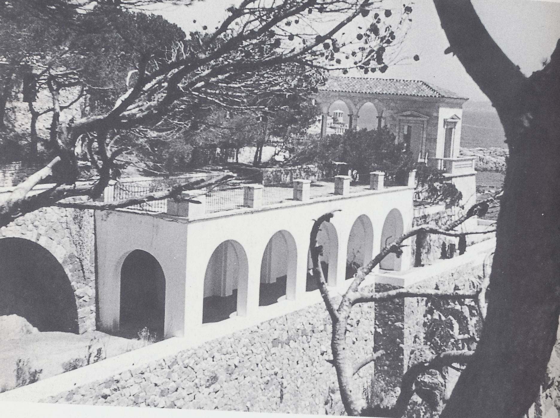 senya blanca1